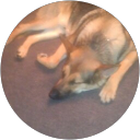 Shaitam Esetlam profile picture